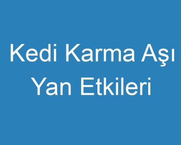 Kedi Karma Aşı Yan Etkileri