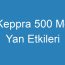 Keppra 500 Mg Yan Etkileri