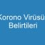 Korono Virüsün Belirtileri