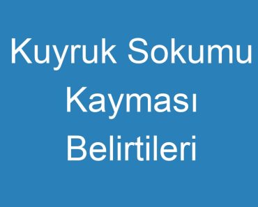 Kuyruk Sokumu Kayması Belirtileri