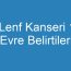 Lenf Kanseri 1 Evre Belirtileri