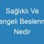 Sağlıklı Ve Dengeli Beslenme Nedir