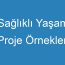 Sağlıklı Yaşam Proje Örnekleri