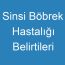 Sinsi Böbrek Hastalığı Belirtileri