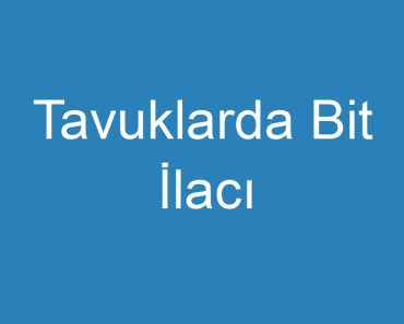 Tavuklarda Bit İlacı