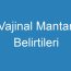 Vajinal Mantar Belirtileri