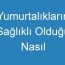 Yumurtalıkların Sağlıklı Olduğu Nasıl Anlaşılır