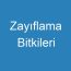 Zayıflama Bitkileri