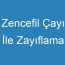 Zencefil Çayı İle Zayıflama